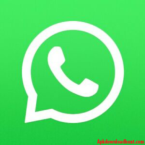 Whatsapp Business