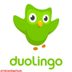 Duolingo App Download
