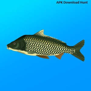 Download True Fishing MOD APK