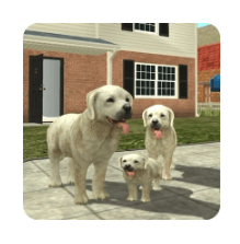 Download Dog Slim Online MOD APK